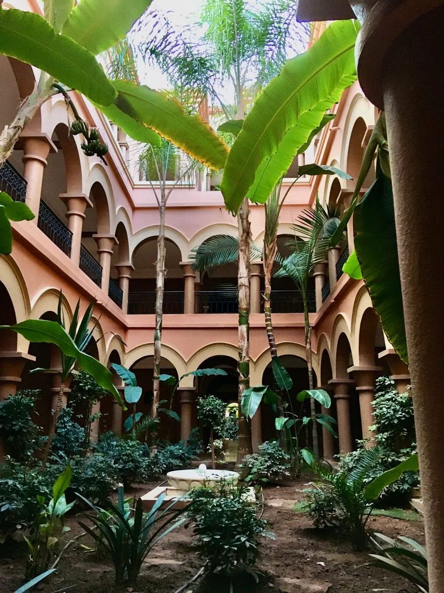 Architecture, palmiers et végétation d’un patio